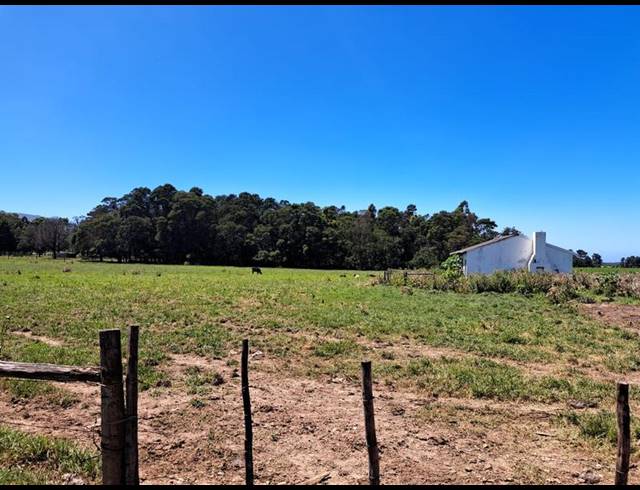FARM FOR SALE IN TSITSIKAMMA